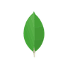 MongoDB